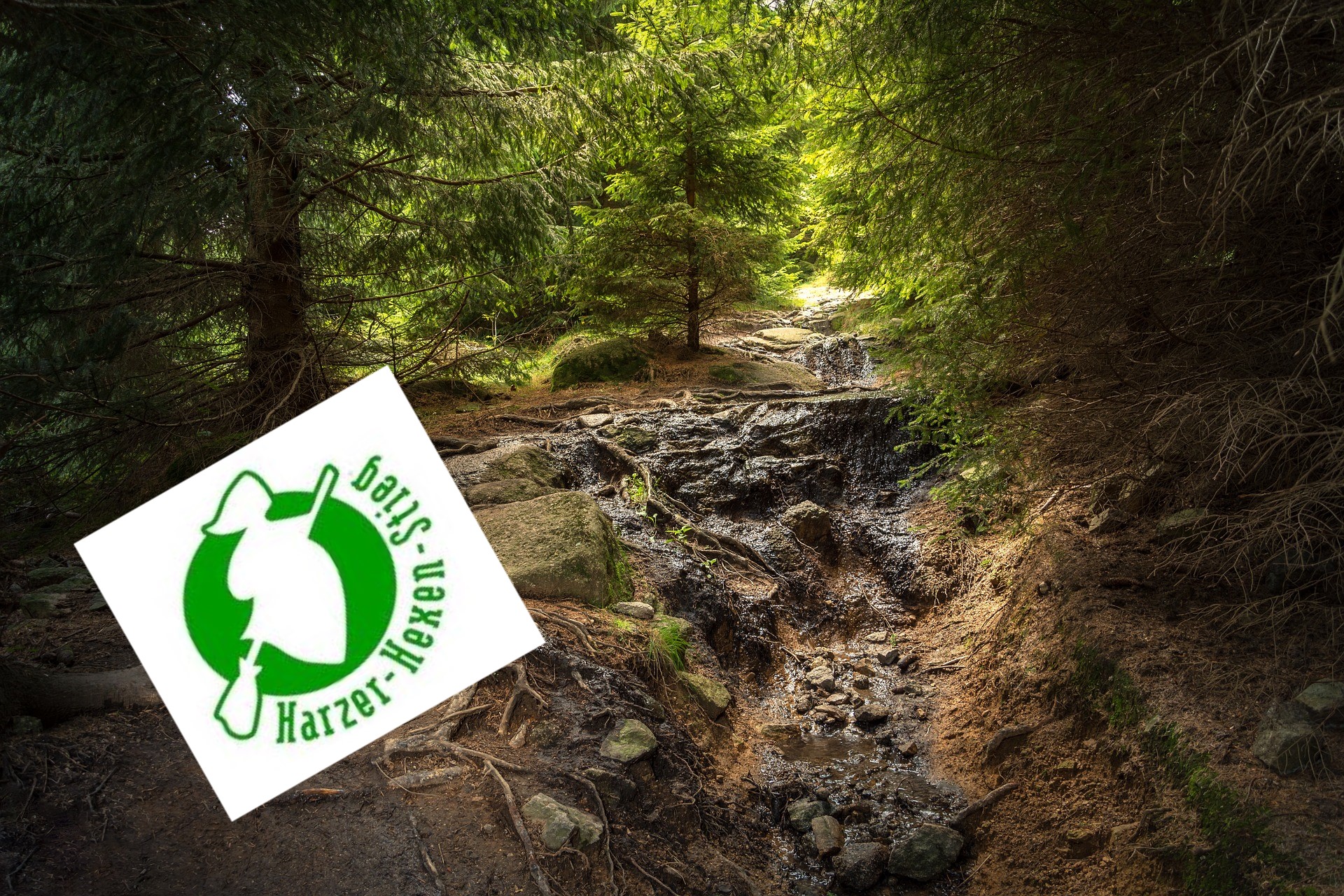 Wandern am Hexenstieg